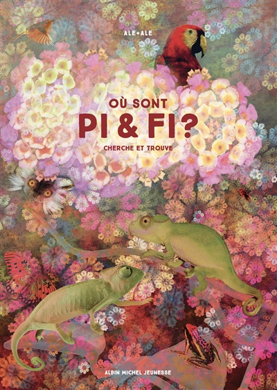 Où sont Pi et Fi ? - 