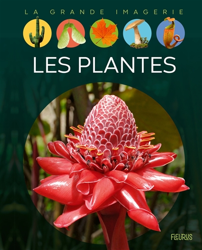 Les plantes - 