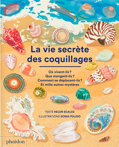 La vie secrète des coquillages - 