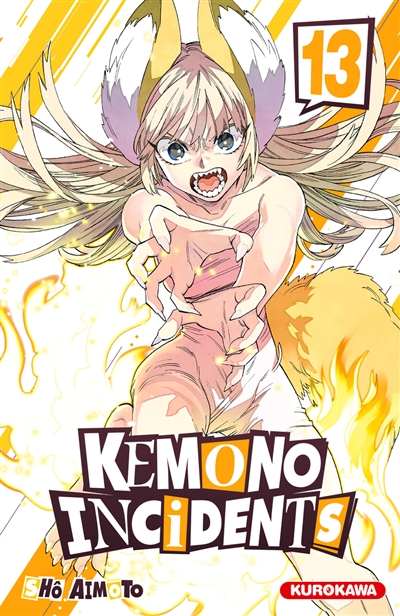 Kemono incidents - 