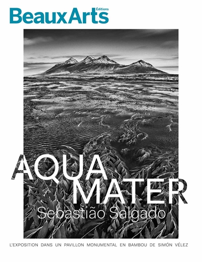 Aqua mater - 