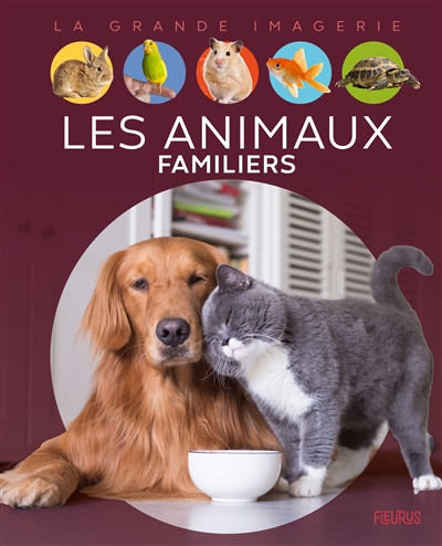 Les animaux familiers - 