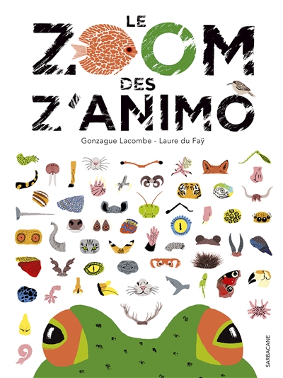 Le zoom des Z'animo - 