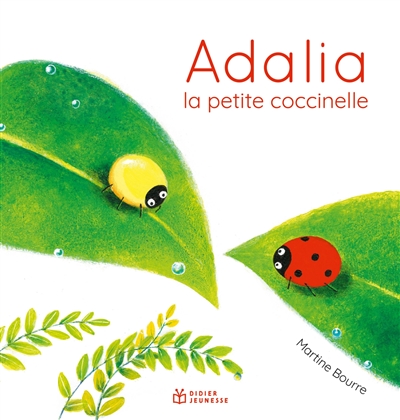 Adalia - 