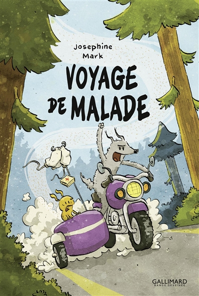 Voyage de malade - 