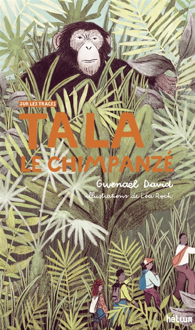 Tala le chimpanzé - 