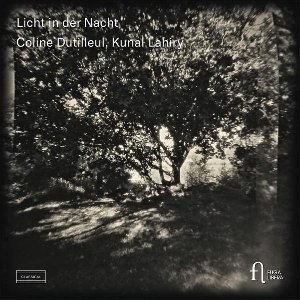 Licht in der Nacht - 