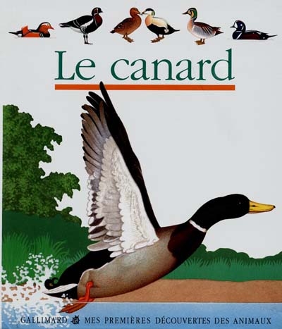 canard (Le) - 