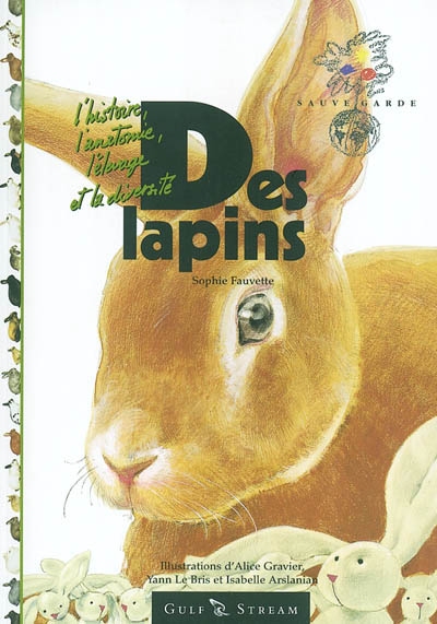 Des lapins - 