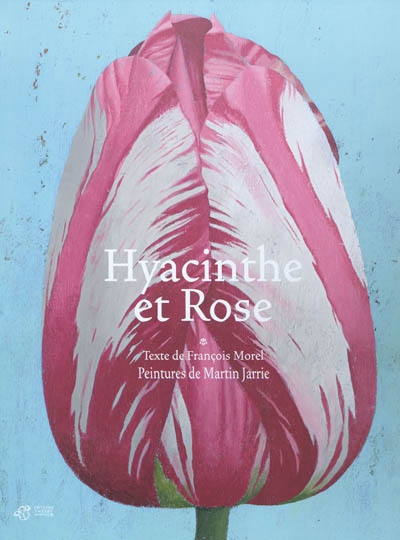 Hyacinthe et rose - 