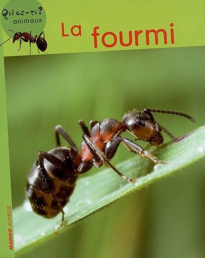 fourmi (La) - 