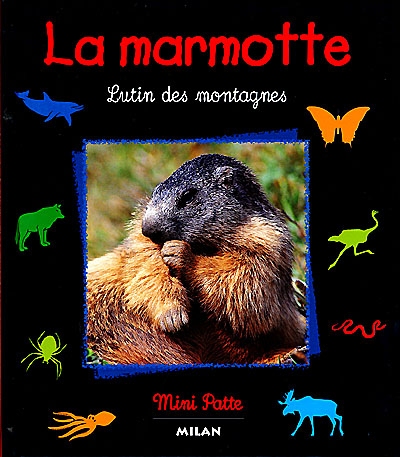 marmotte (La) - 