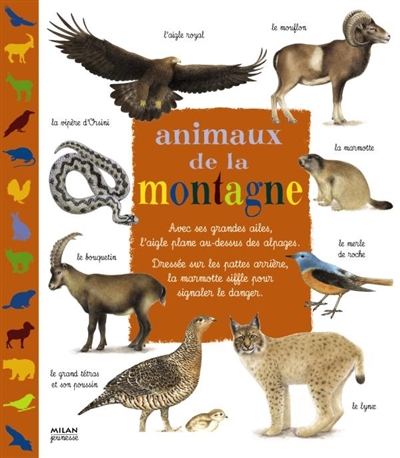 Animaux de la montagne - 