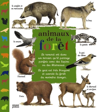 Animaux de la forêt - 