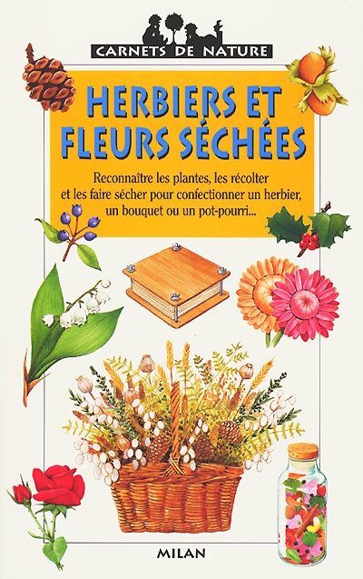 Herbiers et fleurs séchées - 