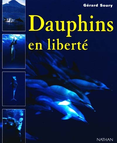 Dauphins en liberté - 