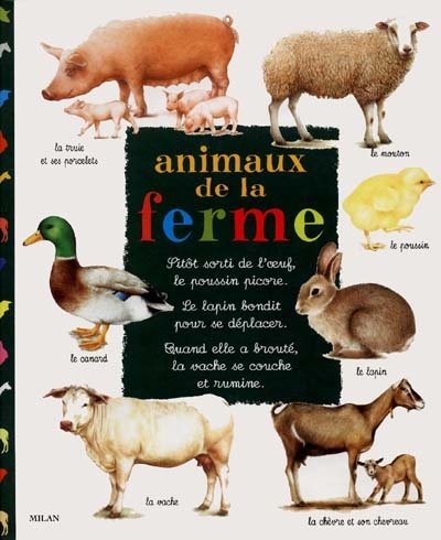 Animaux de la ferme - 