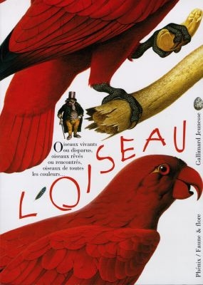 oiseau (L') - 