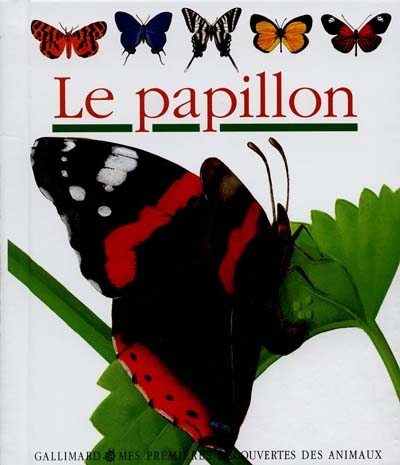 papillon (Le) - 