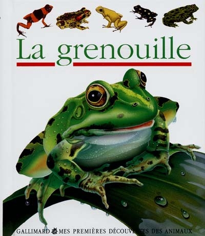 grenouille (La) - 