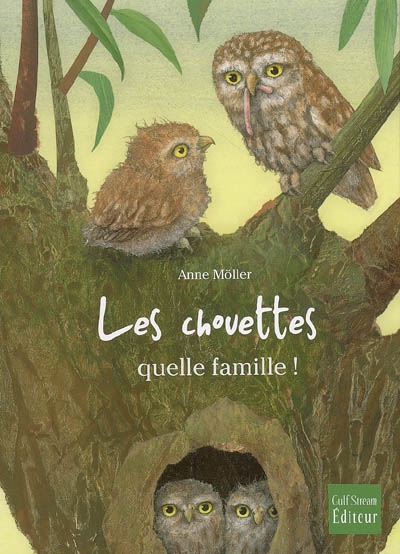 chouettes, quelle famille ! (Les ) - 