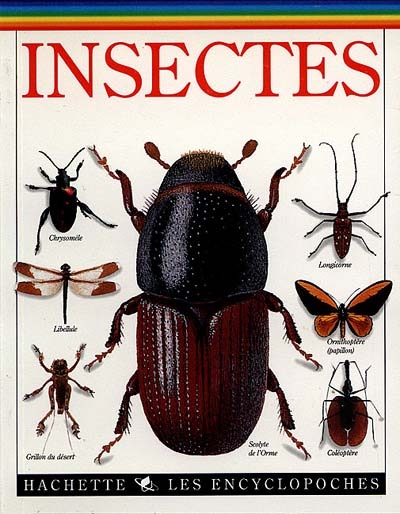 Insectes - 