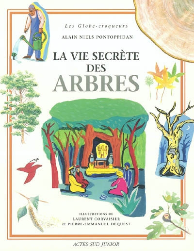 vie secrète des arbres (La) - 