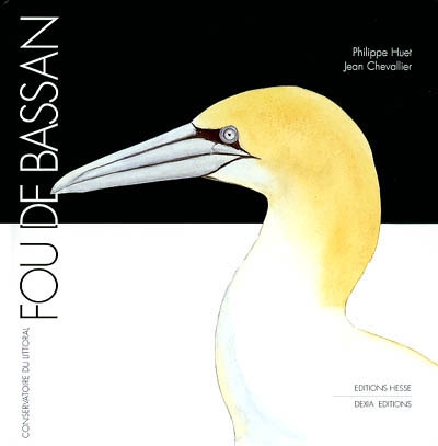 Fou de bassan - 