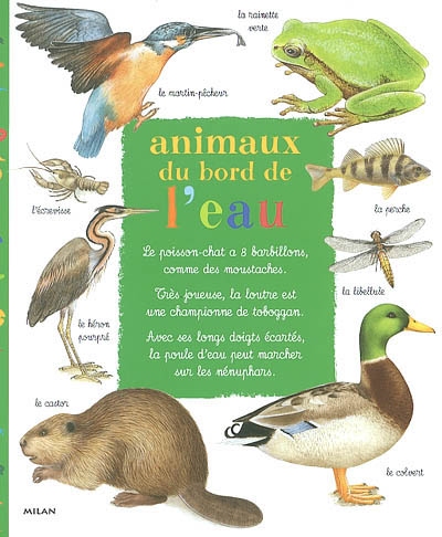 Animaux au bord de l'eau - 