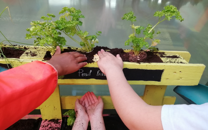 Photo de trois mains d'enfants tassant de la terre autour d'une plante